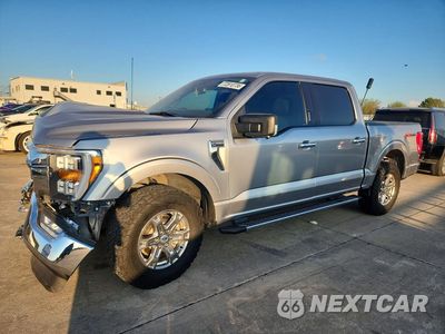 2021 FORD F150 XLT 1FTFW1E57MKE54534 - główne zdjęcie licytacji z USA - miniatura