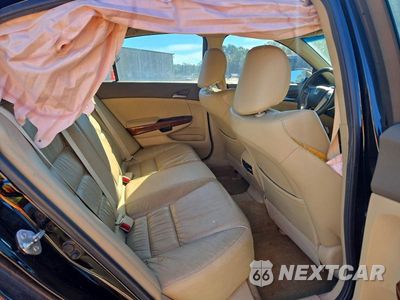 Zdjęcie 10 z 12 samochodu: 2010 HONDA ACCORD EXL VIN:1HGCP2F84AA027264 - miniatura