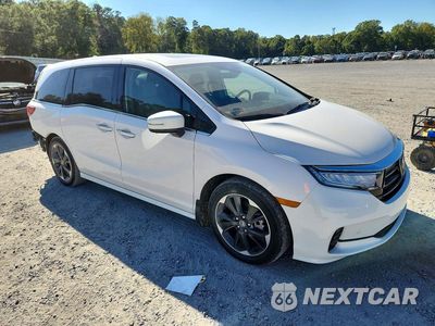Czwarte zdjęcie samochodu z boku: 2024 HONDA ODYSSEY ELITE VIN:5FNRL6H94RB063136 - miniatura