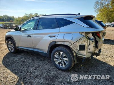 Drugie zdjęcie samochodu z przodu: 2024 HYUNDAI TUCSON BLUE VIN:KM8JBCD12RU191022 - miniatura