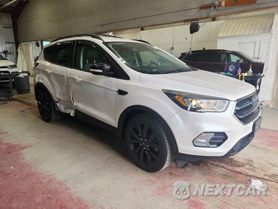 Czwarte zdjęcie samochodu z boku: 2017 FORD ESCAPE TITANIUM VIN:1FMCU9JD5HUC46033 - miniatura