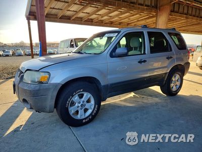 2006 FORD ESCAPE XLT 1FMYU93136KA27640 - główne zdjęcie licytacji z USA - miniatura
