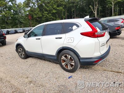 Drugie zdjęcie samochodu z przodu: 2019 HONDA CR-V LX VIN:2HKRW5H31KH404867 - miniatura