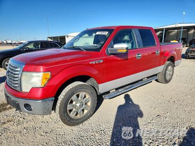 2010 FORD F150 SUPERCREW 1FTEW1E86AFD71350 - główne zdjęcie licytacji z USA - miniatura