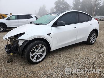 2023 TESLA MODEL Y 7SAYGDEE5PF816887 - główne zdjęcie licytacji z USA - miniatura