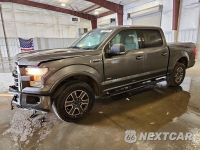 2016 FORD F150 SUPERCREW 1FTEW1EP8GFD20206 - główne zdjęcie licytacji z USA - miniatura