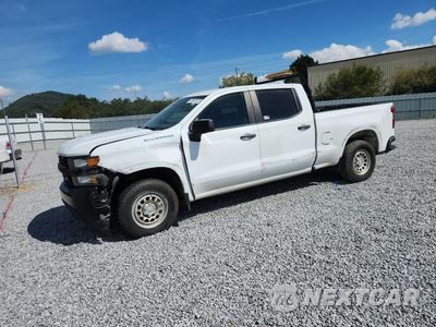 2020 CHEVROLET SILVERADO C1500 1GCPWAEF9LZ145294 - główne zdjęcie licytacji z USA - miniatura