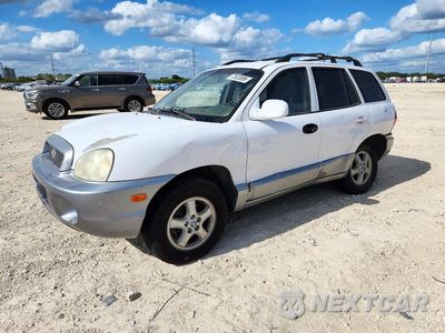 2004 HYUNDAI SANTA FE GLS KM8SC13D84U791540 - główne zdjęcie licytacji z USA - miniatura