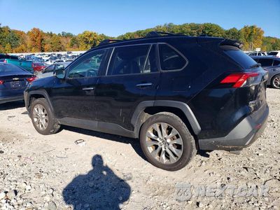 Drugie zdjęcie samochodu z przodu: 2019 TOYOTA RAV4 LIMITED VIN:JTMN1RFV8KD519934 - miniatura