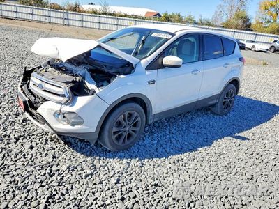 2019 FORD ESCAPE SE 1FMCU9GD1KUB90445 - główne zdjęcie licytacji z USA - miniatura
