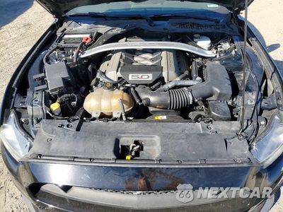 Zdjęcie 11 z 12 samochodu: 2016 FORD MUSTANG GT VIN:1FA6P8CF4G5215789 - miniatura