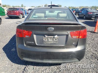 Zdjęcie 6 z 12 samochodu: 2010 KIA FORTE EX VIN:KNAFU4A21A5273553 - miniatura