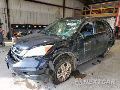 2010 HONDA CR-V EXL 5J6RE4H72AL056176 - główne zdjęcie licytacji z USA - miniatura