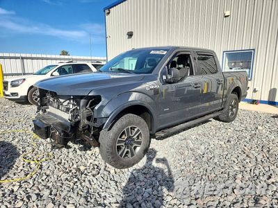 2016 FORD F150 SUPERCREW 1FTEW1EG4GFA09744 - główne zdjęcie licytacji z USA - miniatura