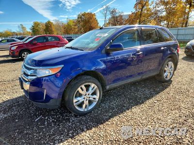 2013 FORD EDGE SEL 2FMDK4JC8DBB15764 - główne zdjęcie licytacji z USA - miniatura