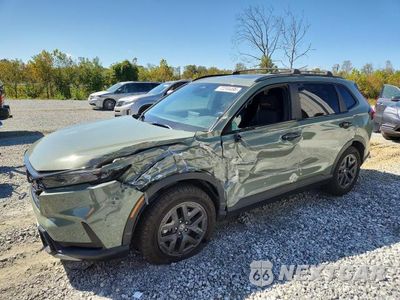 2026 HONDA CR-V TRAILSPORT 7FARS6H62TE047411 - główne zdjęcie licytacji z USA - miniatura