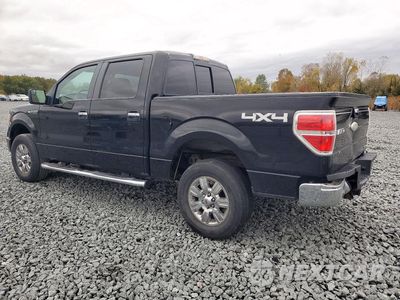 Drugie zdjęcie samochodu z przodu: 2011 FORD F150 SUPERCREW VIN:1FTFW1EF3BKD99490 - miniatura