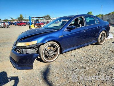 2006 ACURA 3.2TL 19UUA66256A007461 - główne zdjęcie licytacji z USA - miniatura