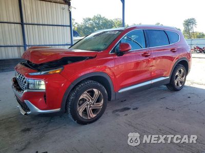 2022 HYUNDAI SANTA FE SEL 5NMS24AJXNH406425 - główne zdjęcie licytacji z USA - miniatura