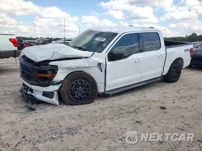 2025 FORD F150 XLT 1FTFW3L53SKE44742 - główne zdjęcie licytacji z USA - miniatura