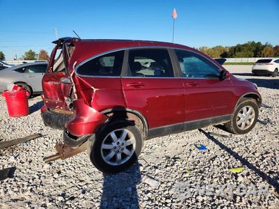 Trzecie zdjęcie samochodu z tyłu: 2009 HONDA CR-V EXL VIN:5J6RE48739L022145 - miniatura