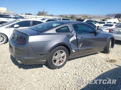 Trzecie zdjęcie samochodu z tyłu: 2013 FORD MUSTANG VIN:1ZVBP8AM9D5255529 - miniatura