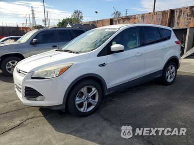 2014 FORD ESCAPE SE 1FMCU0GX7EUC52408 - główne zdjęcie licytacji z USA - miniatura