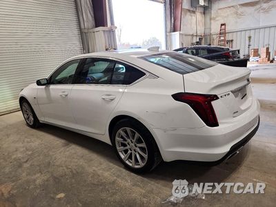 Drugie zdjęcie samochodu z przodu: 2023 CADILLAC CT5 LUXURY VIN:1G6DX5RK8P0158193 - miniatura