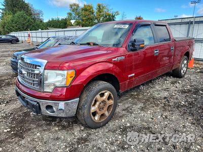 2013 FORD F150 SUPERCREW 1FTFW1ET2DKD90210 - główne zdjęcie licytacji z USA - miniatura