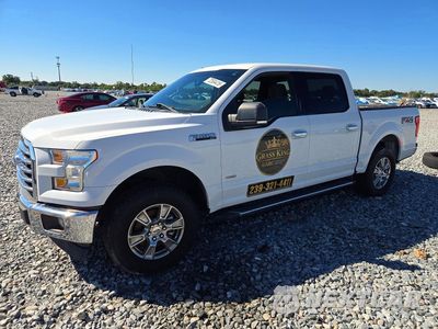 2017 FORD F150 XLT 1FTEW1EP4HFC49488 - główne zdjęcie licytacji z USA - miniatura