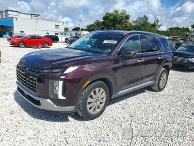2024 HYUNDAI PALISADE SEL KM8R24GE4RU704519 - główne zdjęcie licytacji z USA - miniatura