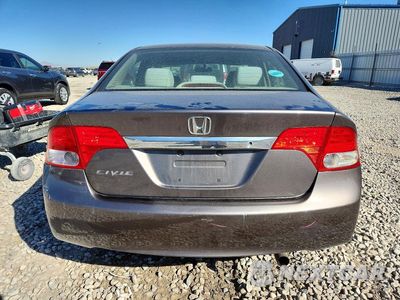 Zdjęcie 6 z 12 samochodu: 2009 HONDA CIVIC LX VIN:19XFA165X9E050683 - miniatura