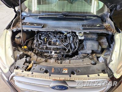 Zdjęcie 12 z 13 samochodu: 2017 FORD ESCAPE SE VIN:1FMCU0GD7HUB77879 - miniatura