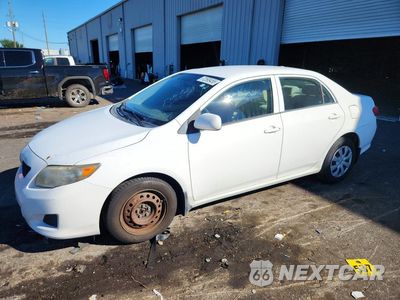 2010 TOYOTA COROLLA LE 1NXBU4EE4AZ296283 - główne zdjęcie licytacji z USA - miniatura