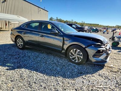 Czwarte zdjęcie samochodu z boku: 2026 HYUNDAI SONATA HYBRID BLUE VIN:KMHL24JJ6TA164062 - miniatura