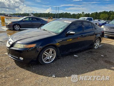 2008 ACURA TL 19UUA66248A048392 - główne zdjęcie licytacji z USA - miniatura