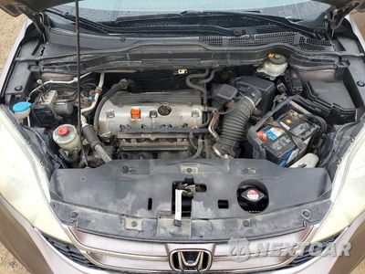 Zdjęcie 12 z 13 samochodu: 2010 HONDA CR-V VIN:5J6RE4H7XBL001864 - miniatura