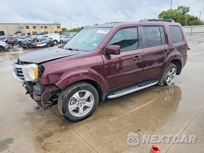 2014 HONDA PILOT EXL 5FNYF3H50EB021944 - główne zdjęcie licytacji z USA - miniatura