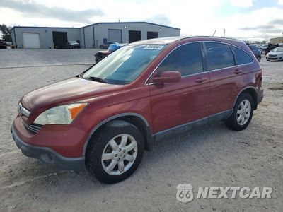 2007 HONDA CR-V EXL JHLRE38737C049720 - główne zdjęcie licytacji z USA - miniatura