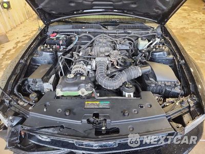 Zdjęcie 11 z 12 samochodu: 2006 FORD MUSTANG VIN:1ZVFT80N565175509 - miniatura