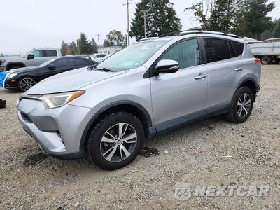 2016 TOYOTA RAV4 XLE 2T3WFREV8GW281004 - główne zdjęcie licytacji z USA - miniatura