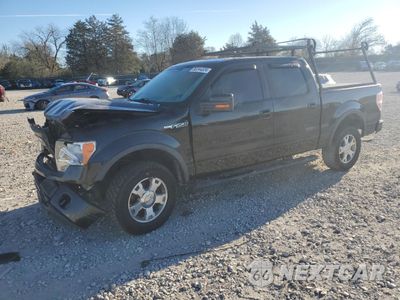 2010 FORD F150 SUPERCREW 1FTFW1EV9AFA76849 - główne zdjęcie licytacji z USA - miniatura