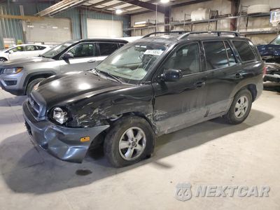 2005 HYUNDAI SANTA FE GLS KM8SC73D65U882505 - główne zdjęcie licytacji z USA - miniatura