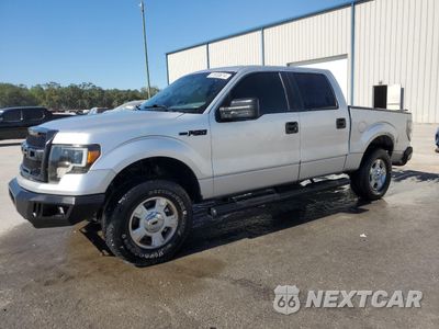 2013 FORD F150 SUPERCREW 1FTEW1CM5DFB23336 - główne zdjęcie licytacji z USA - miniatura