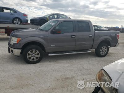 2014 FORD F150 SUPERCREW 1FTFW1ET9EFA91551 - główne zdjęcie licytacji z USA - miniatura