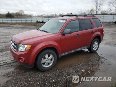 2009 FORD ESCAPE XLT 1FMCU03799KC85434 - główne zdjęcie licytacji z USA - miniatura