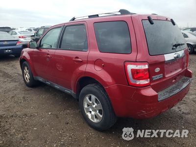 Drugie zdjęcie samochodu z przodu: 2011 FORD ESCAPE LIMITED VIN:1FMCU0EG1BKB15443 - miniatura
