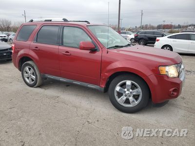 Czwarte zdjęcie samochodu z boku: 2009 FORD ESCAPE LIMITED VIN:1FMCU04G49KB55284 - miniatura