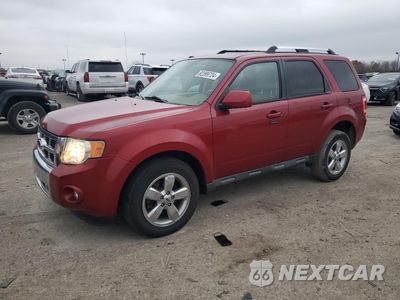 2009 FORD ESCAPE LIMITED 1FMCU04G49KB55284 - główne zdjęcie licytacji z USA - miniatura
