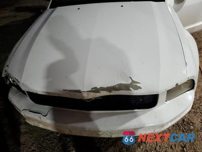 Zdjęcie 11 z 12 samochodu: 2006 FORD MUSTANG VIN:1ZVFT84N565264216 - miniatura